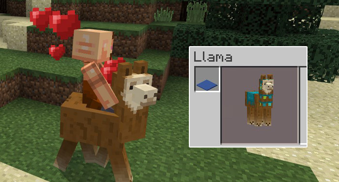 How do you control a llama?