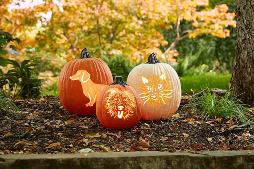 How far in advance can you carve a pumpkin?