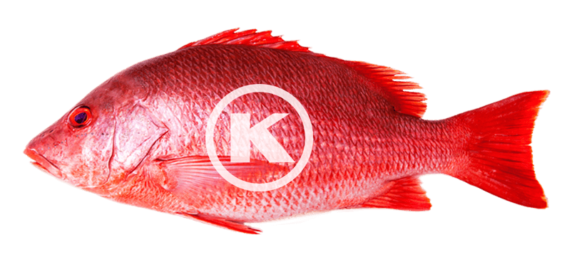 Is red snapper kosher?