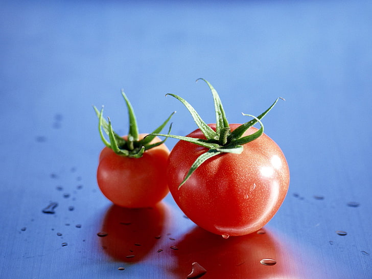 What are the tastiest cherry tomatoes?