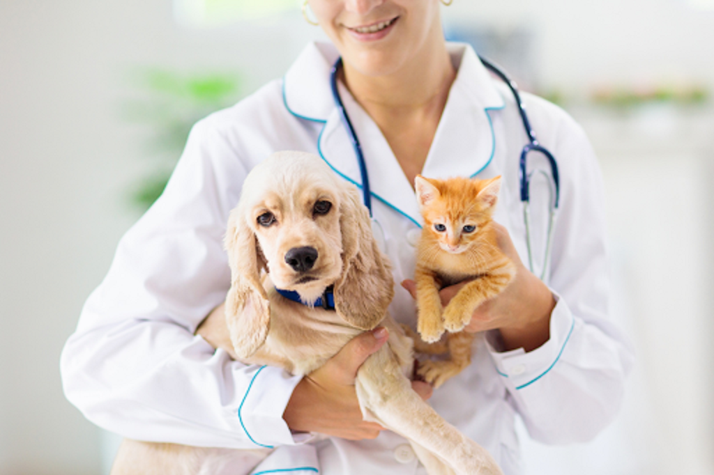 What are the top three industries that employ vet techs?