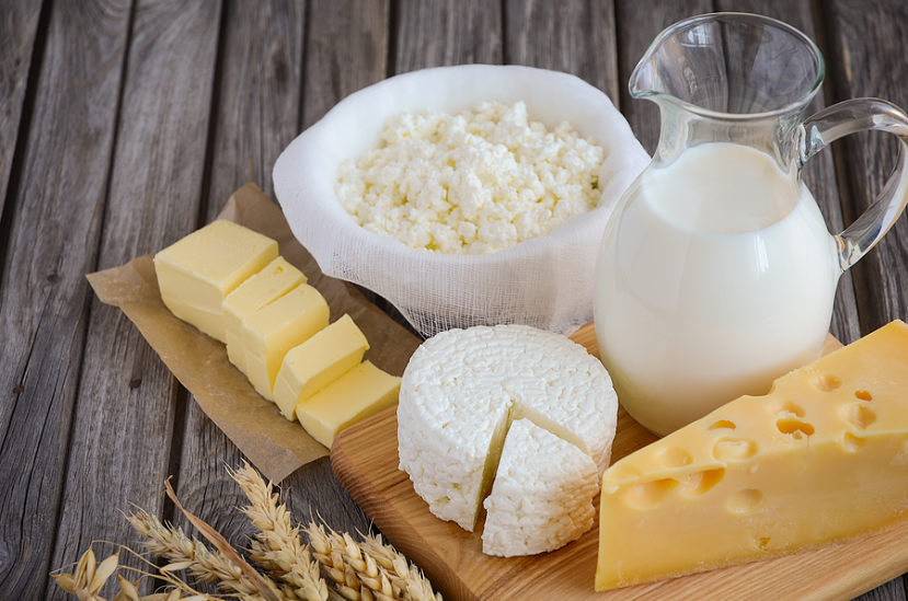 What cheese has the highest amount of lactose?