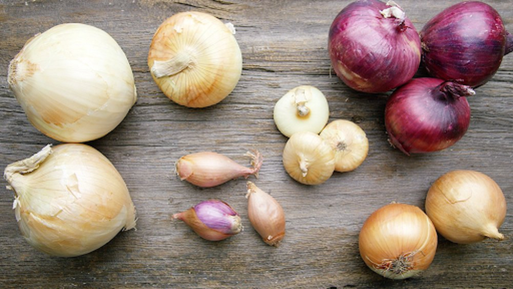 What do Cipollini onions taste like?