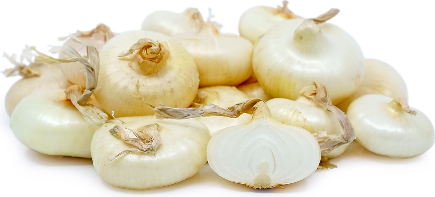 What does a Cipollini onion taste like?