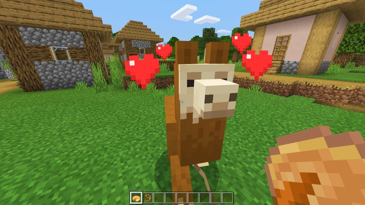 Why can't I feed my llama in Minecraft?