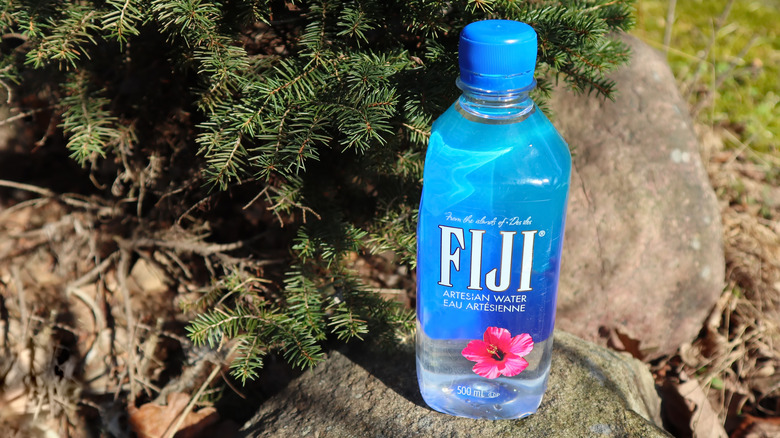 Why is Fiji Water controversial?