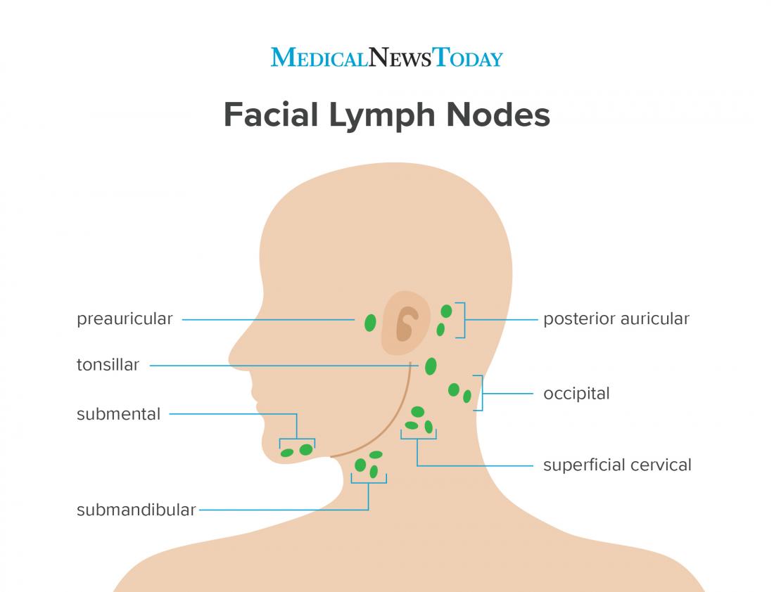 Why is my Preauricular lymph node swollen?