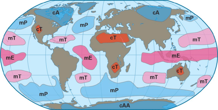 How are maritime tropical air masses formed?