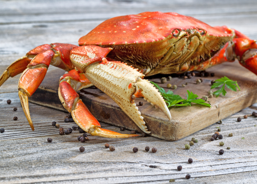 Can Dungeness crab live out of water