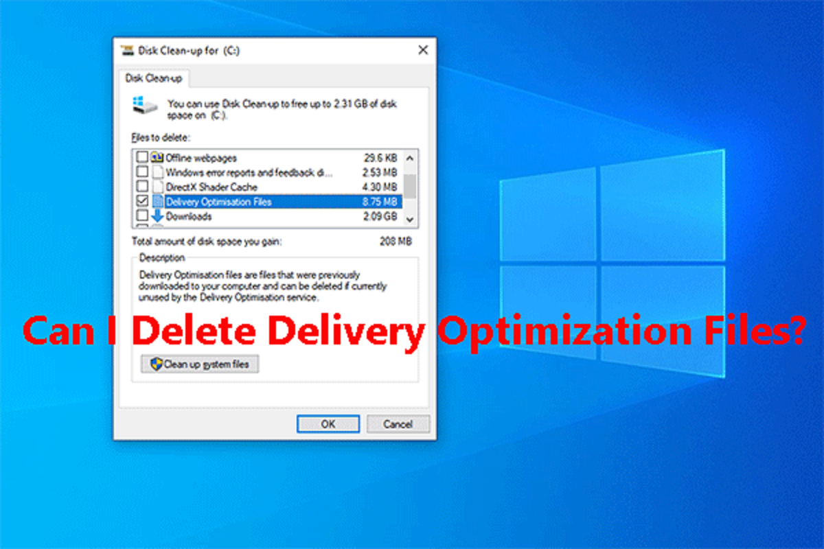Can I delete delivery optimization files Windows 10?