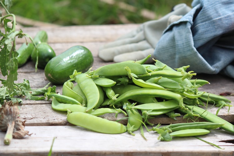 Should you blanch snow peas?