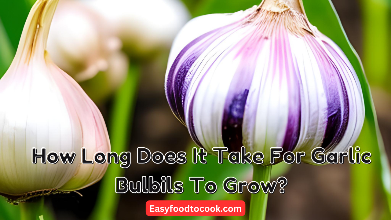 How Long Does It Take For Garlic Bulbils To Grow
